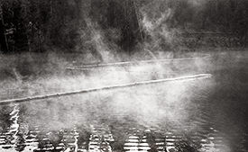 steam