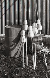 fishing floats