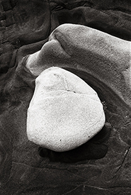 white rock at Pt. Lobos