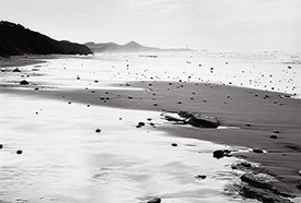 Beverly Beach Reflections I