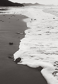 Sea Foam