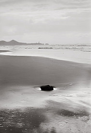 Singular Beach Rock & Surf
