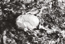Submerged Beach Stone
