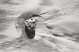 Beverly Beach Stone & Sand II