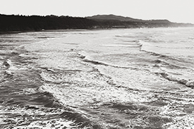 Beverly Beach Surf