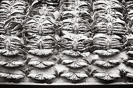Dungeness Crab, Pike Place Market