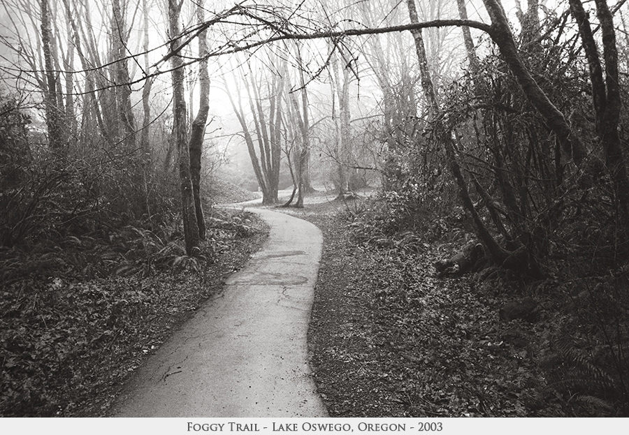 Foggy Trail