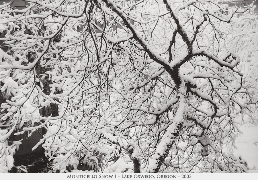 Monticello Snow I