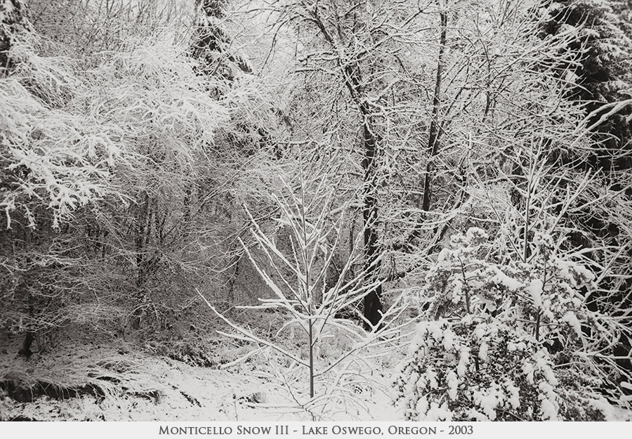 Monticello Snow III