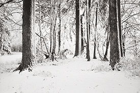 Monticello Snow VI