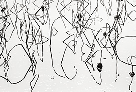 lotus stems 1