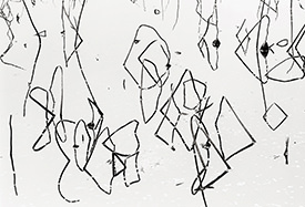 lotus stems 2