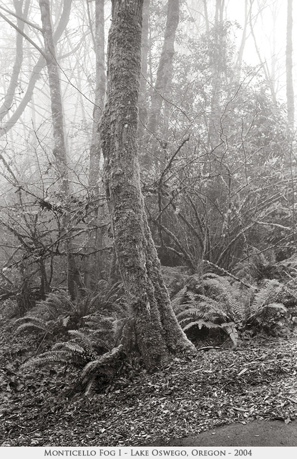 Monticello Fog I