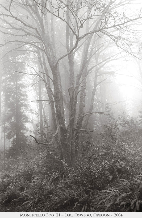Monticello Fog III