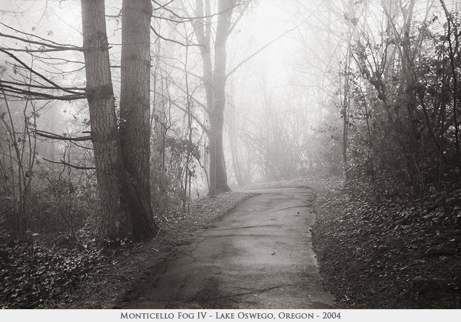 Monticello Fog V
