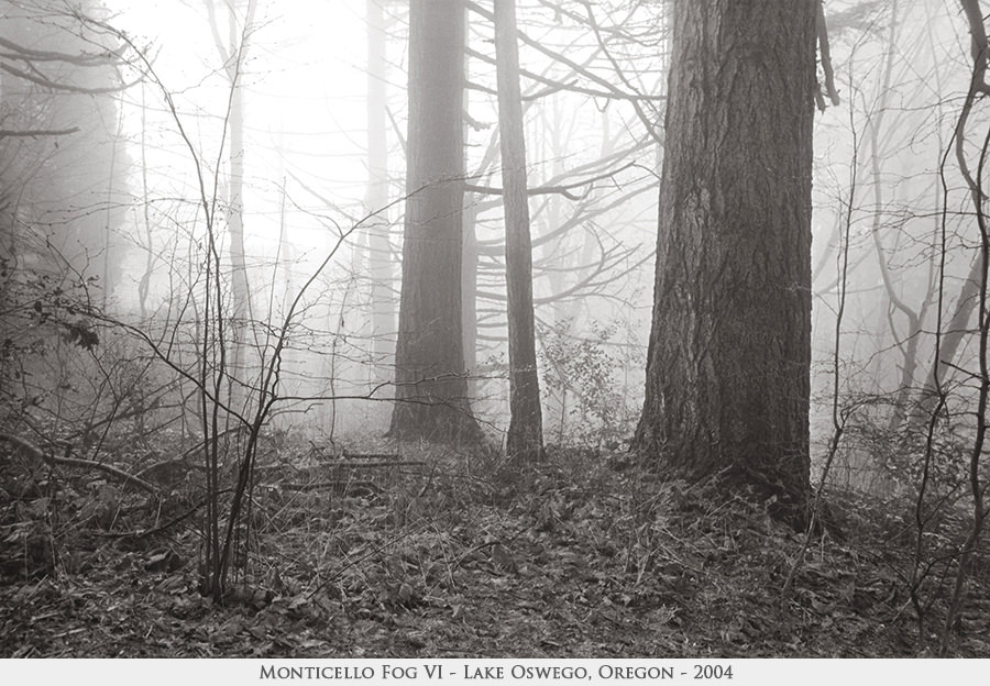 Monticello Fog VI