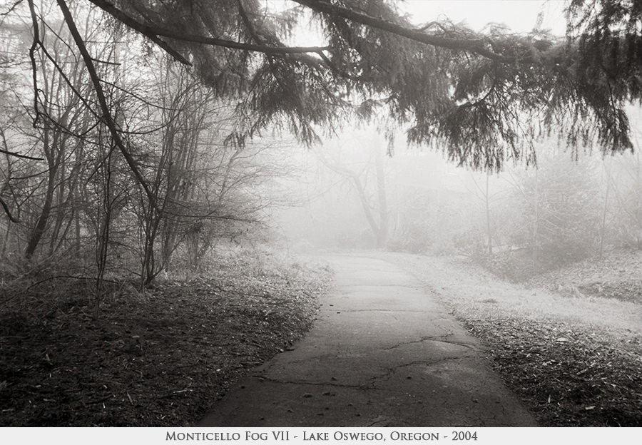 Monticello Fog VII