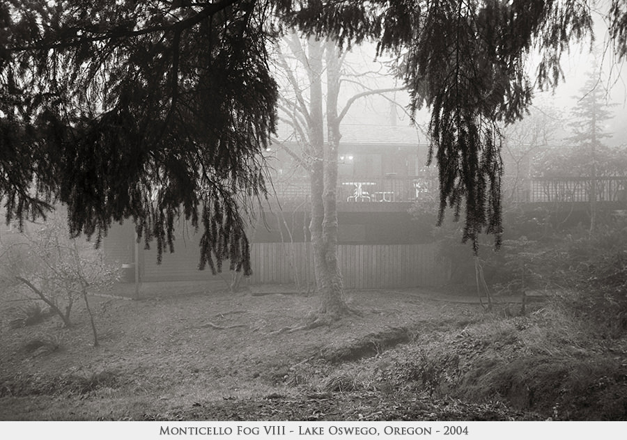 Monticello Fog VIII