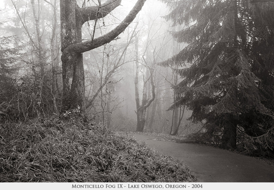 Monticello Fog IX