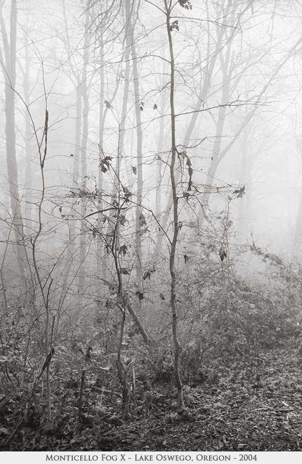 Monticello Fog X