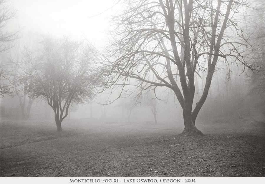 Monticello Fog XI