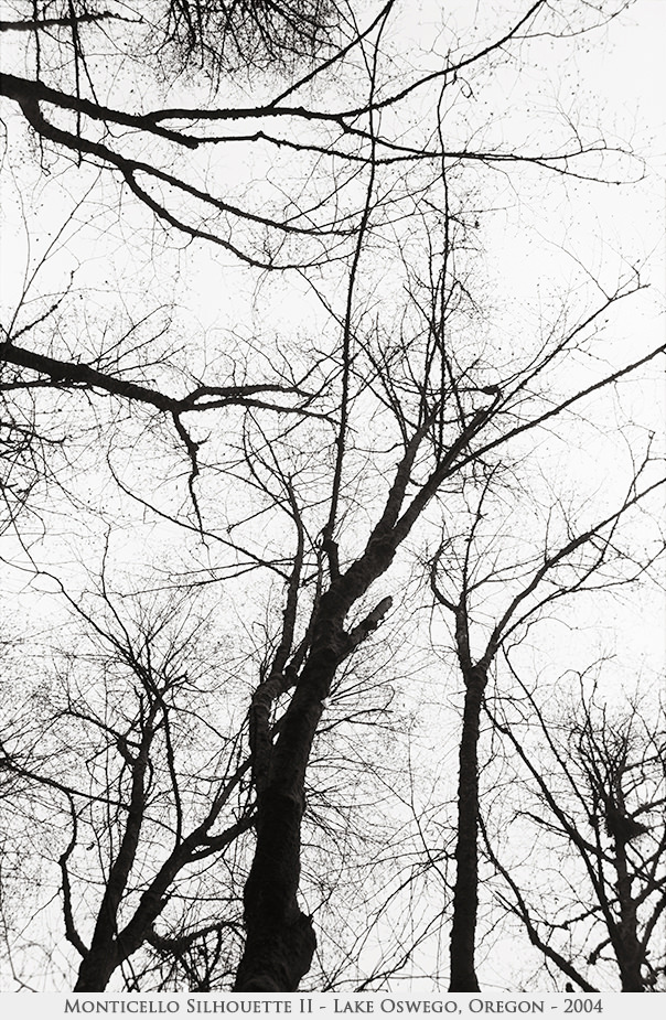 Monticello Silhouette II