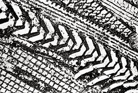 Tire Tracks