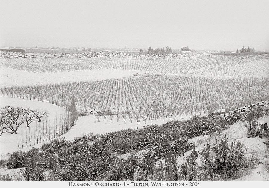 Harmony Orchards I