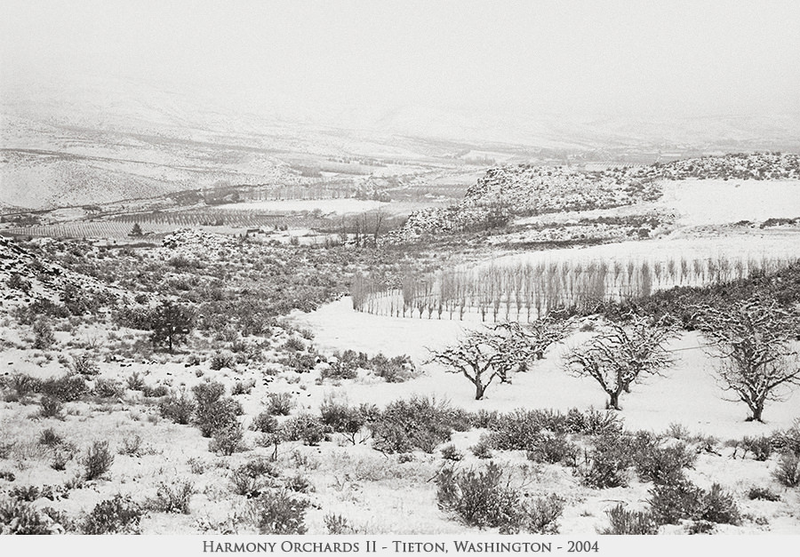 Harmony Orchards II