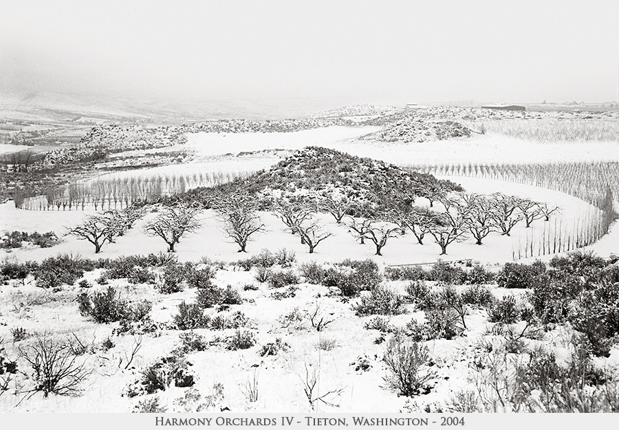 Harmony Orchards IV