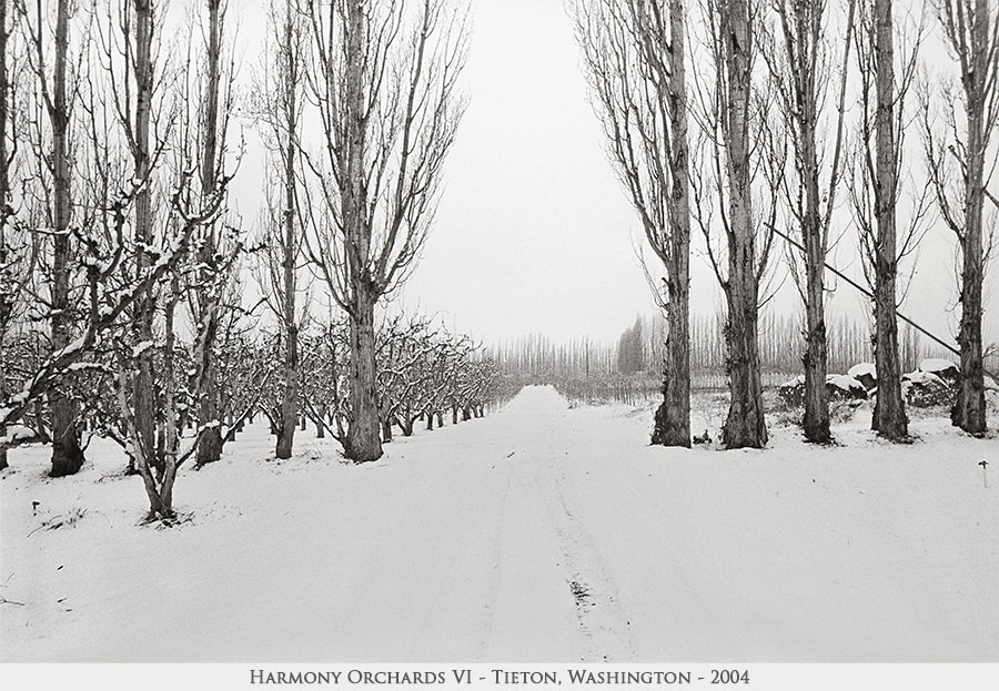 Harmony Orchards VI