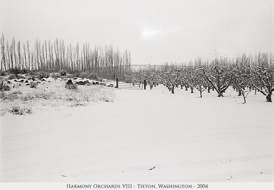 Harmony Orchards VIII