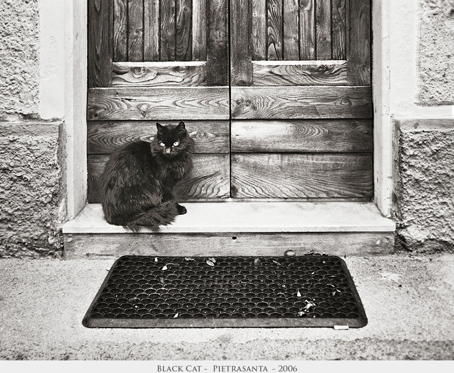 Black Cat