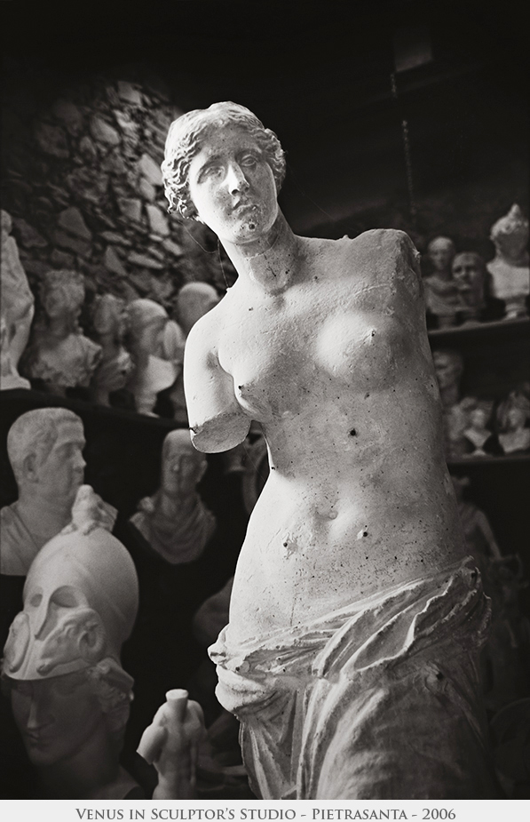 Venus in Sculptor's Studio