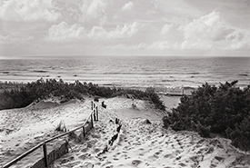 Beach Trail
