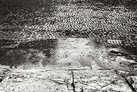 Coliseum Step & Sampietrini III
