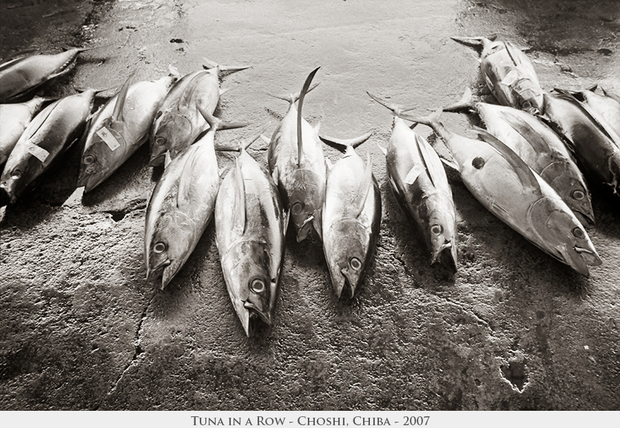 Tuna in a Row