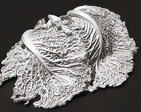 napa cabbage