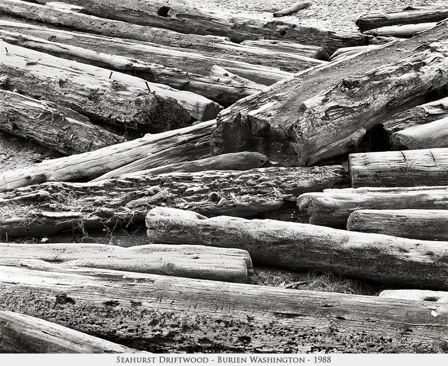 Seahurst driftwood