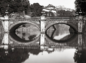 eyglass bridge