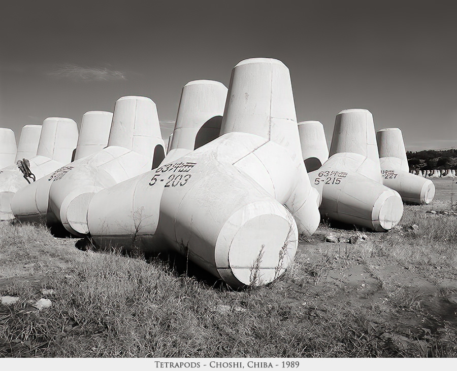 tetrapods