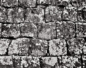 Toshogu wall