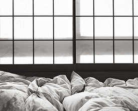 shoji & futon