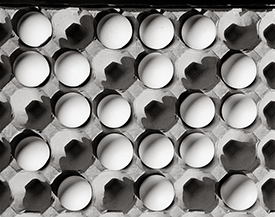 carton of eggs