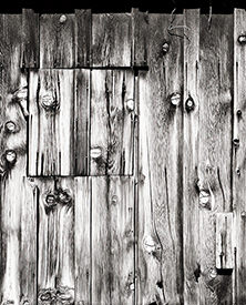 Storage Shed Door