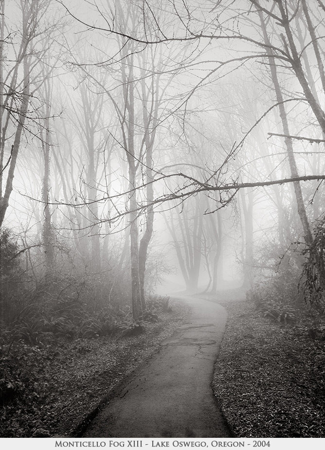 Monticello Fog XIII