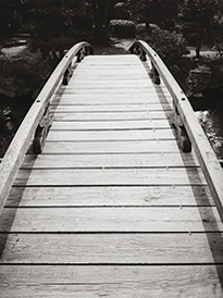 Bridge to the Garden