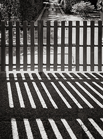Fence Shadows