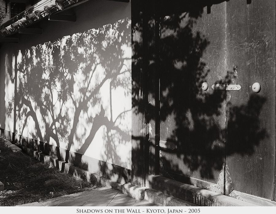Shadows on the Wall