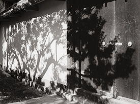 Shadows on the Wall